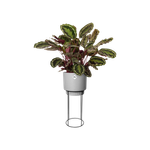 b.for studio round 30cm living concrete